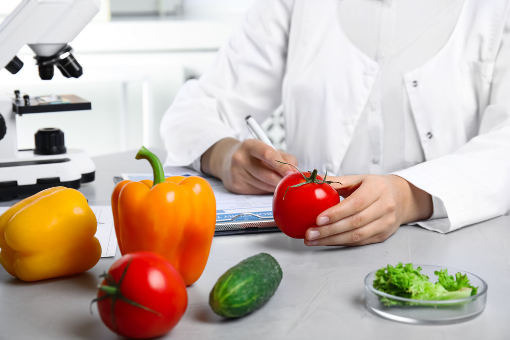 mercado de trabalho para nutricionistas gastronomia